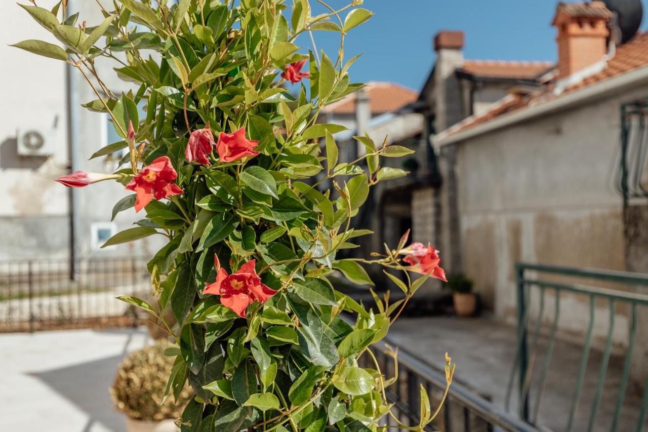 Boka Apartment 6 Herceg Novi Exterior foto